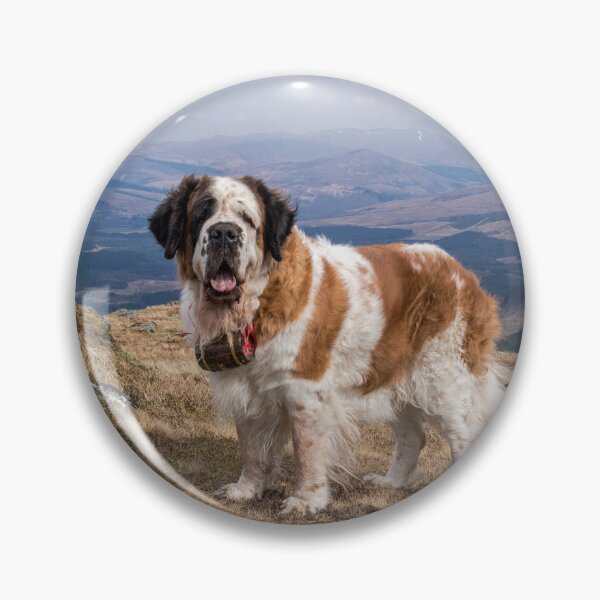 Item preview, Big Saint Bernard dog on top of a mountain  designed and sold by HaleyRedshaw.