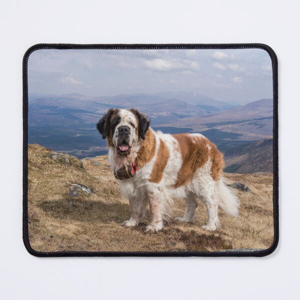 Item preview, Big Saint Bernard dog on top of a mountain  designed and sold by HaleyRedshaw.