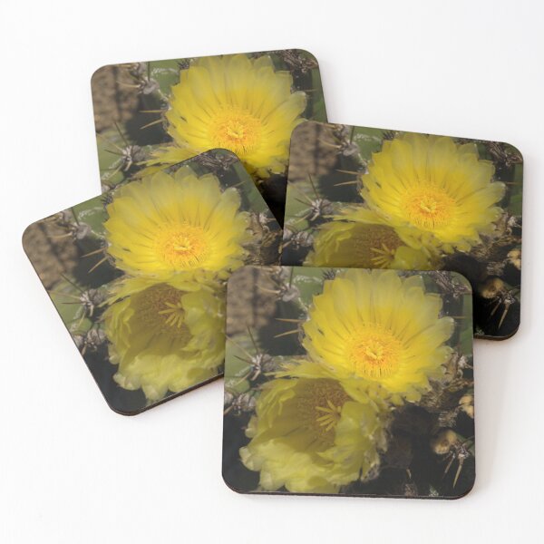Item preview, Gossamer Petals - Twin Cactus Blooms designed and sold by Georgia Mizuleva.