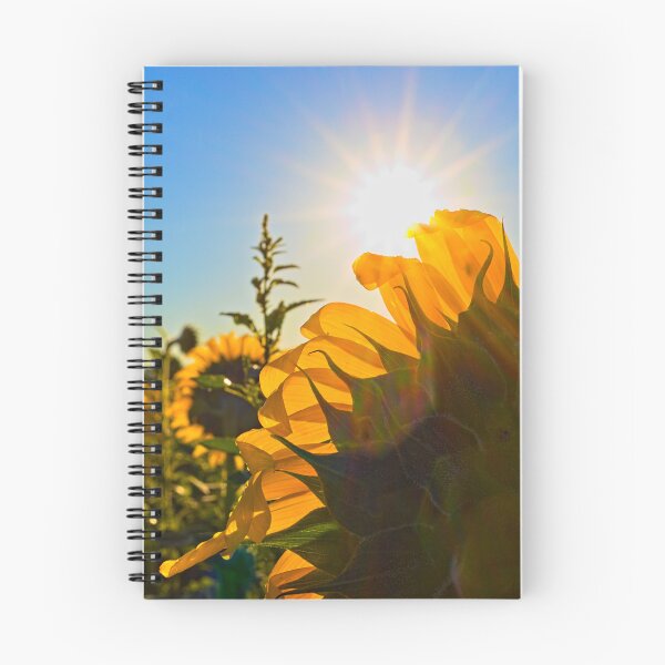 Item preview, Sunflower Morning designed and sold by Brad Chambers.