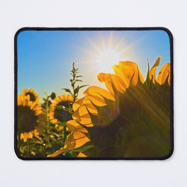 Item preview, Sunflower Morning designed and sold by Brad Chambers.