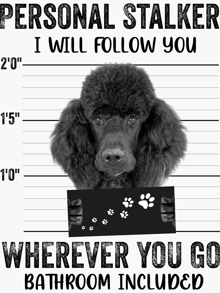 Personal Stalker Dog, Poodle, Funny Poodles Puppies Sayings, Poodle Owner  Gifts, Poodle Puppy, Personal Stalker I will Follow You Wherever You Go  Bathroom Included Poster for Sale by PRINTED .