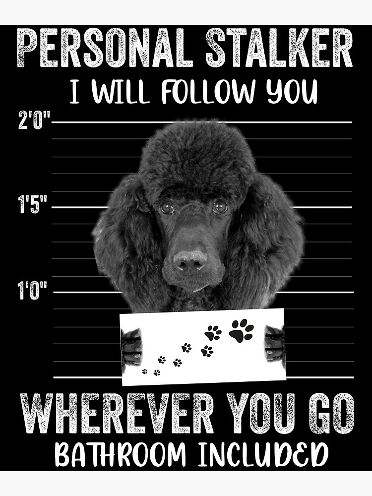 Personal Stalker Dog, Poodle, Funny Poodles Puppies Sayings, Poodle Owner  Gifts, Poodle Puppy, Personal Stalker I will Follow You Wherever You Go  Bathroom Included Poster for Sale by PRINTED .