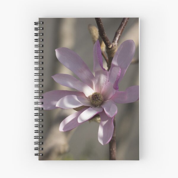 Item preview, Pink Spring - Elegant Magnolia Blossom designed and sold by Georgia Mizuleva.