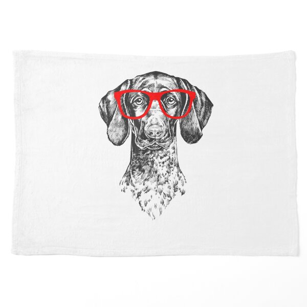 Auvergne Pointer Pet Blanket