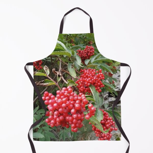 Item preview, Red elderberry designed and sold by Bernsteinhaus.