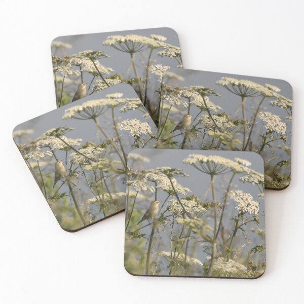 Item preview, Sedge Warbler on Common Hogweed designed and sold by rwhooster.
