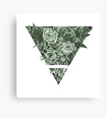Elemental Alchemy: Earth (colour) Canvas Print