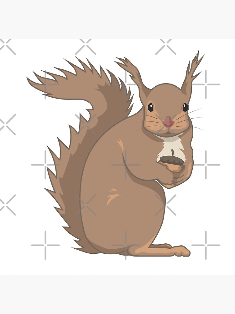 "Squirrel Eats Nuts" Poster for Sale by MusaDesigns | Redbubble