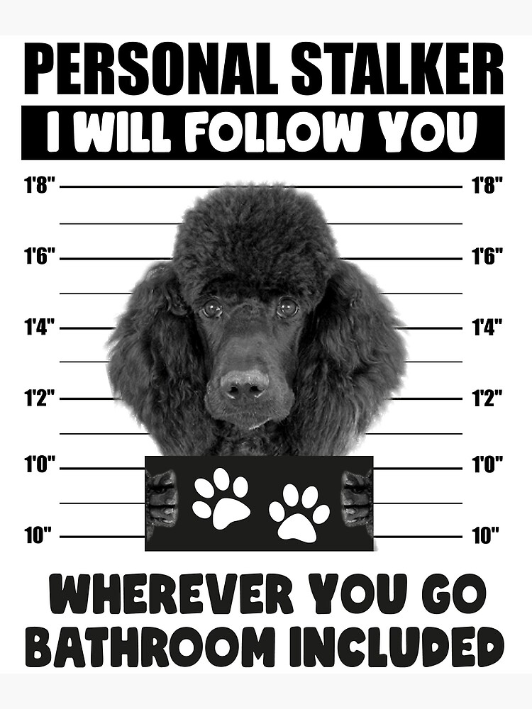 Personal Stalker Dog, Poodle, Funny Poodles Puppies Sayings, Poodle Owner  Gifts, Poodle Puppy, Personal Stalker I will Follow You Wherever You Go  Bathroom Included Poster for Sale by PRINTED .