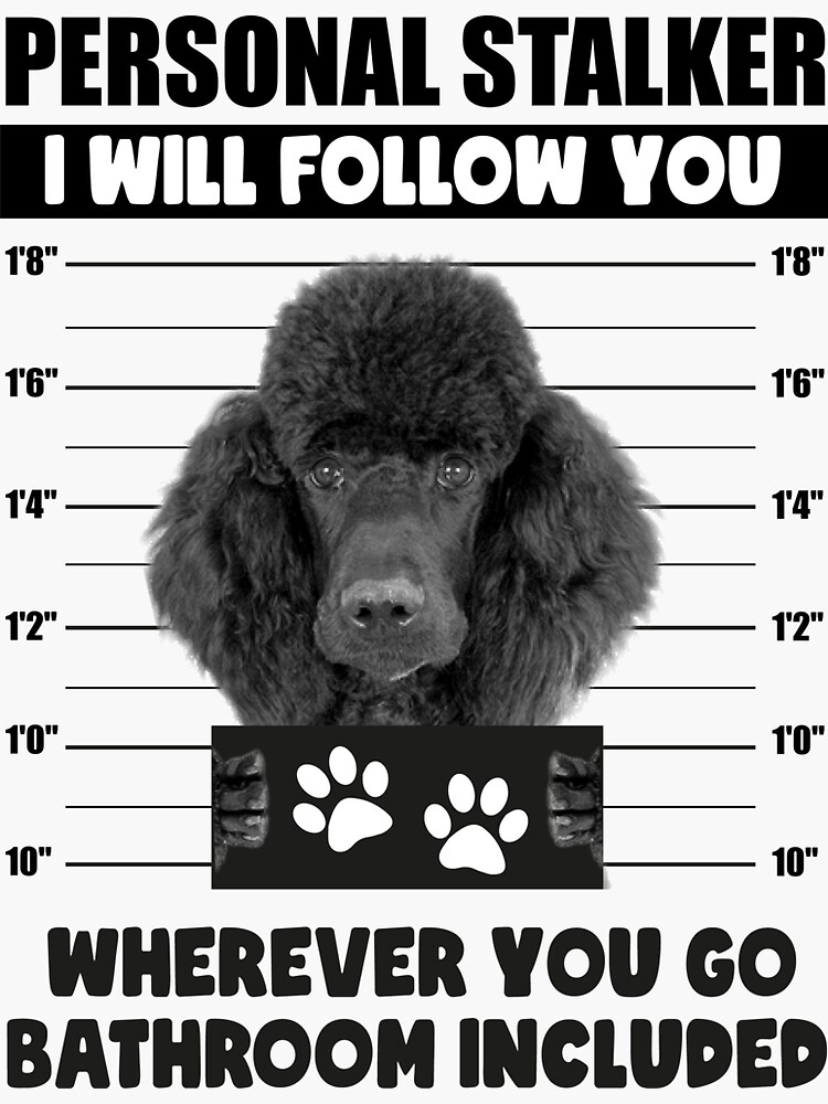 Personal Stalker Dog, Shih Tzu, Funny Shih Tzu Puppies memes, Shih Tzu  Owner Gifts, Poodle Puppy, Personal Stalker I will Follow You Wherever You  Go Bathroom Included Poster for Sale by PRINTED .