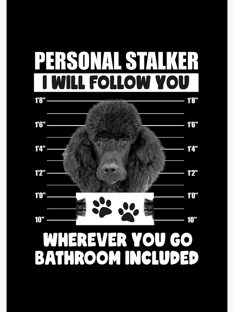 Personal Stalker Dog, Poodle, Funny Poodles Puppies Sayings, Poodle Owner  Gifts, Poodle Puppy, Personal Stalker I will Follow You Wherever You Go  Bathroom Included Poster for Sale by PRINTED .