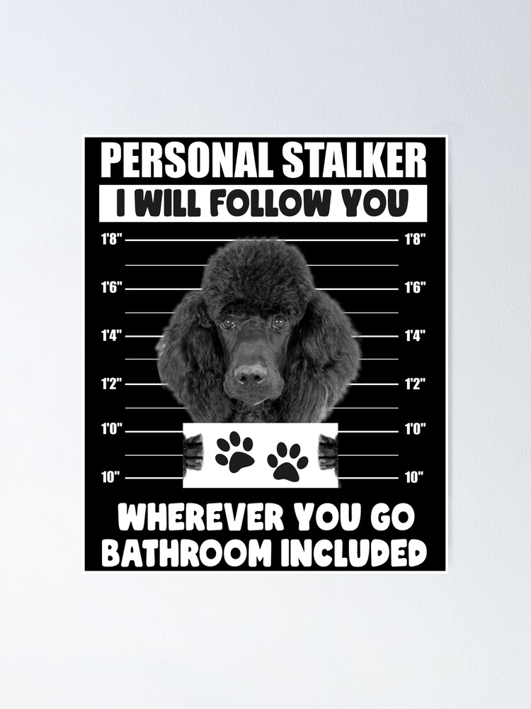 Personal Stalker Dog, Poodle, Funny Poodles Puppies Sayings, Poodle Owner  Gifts, Poodle Puppy, Personal Stalker I will Follow You Wherever You Go  Bathroom Included Poster for Sale by PRINTED .