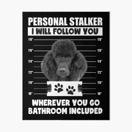 Personal Stalker Dog, Poodle, Funny Poodles Puppies Sayings, Poodle Owner  Gifts, Poodle Puppy, Personal Stalker I will Follow You Wherever You Go  Bathroom Included Poster for Sale by PRINTED .