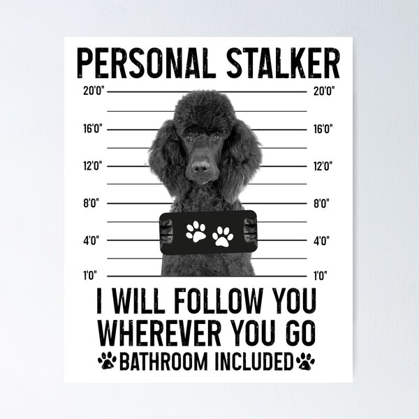 Artikel-Vorschau von Persönlicher Stalker-Hund, Pudel, lustige Pudel-Welpen-Sprüche, Pudel-Besitzer-Geschenke, Pudel-Welpe, persönlicher Stalker. Ich werde Ihnen folgen, wohin Sie auch gehen. Badezimmer inklusive, designt und verkauft von PRINTED ..