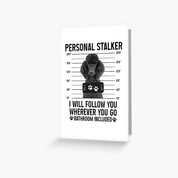 Personal Stalker Dog, Shih Tzu, Funny Shih Tzu Puppies memes, Shih Tzu  Owner Gifts, Poodle Puppy, Personal Stalker I will Follow You Wherever You  Go Bathroom Included Poster for Sale by PRINTED .