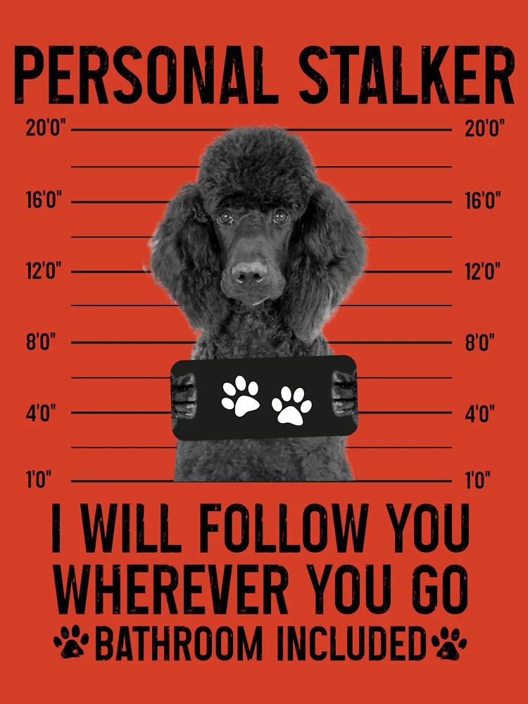Personal Stalker Dog, Poodle, Funny Poodles Puppies Sayings, Poodle Owner  Gifts, Poodle Puppy, Personal Stalker I will Follow You Wherever You Go  Bathroom Included Poster for Sale by PRINTED .