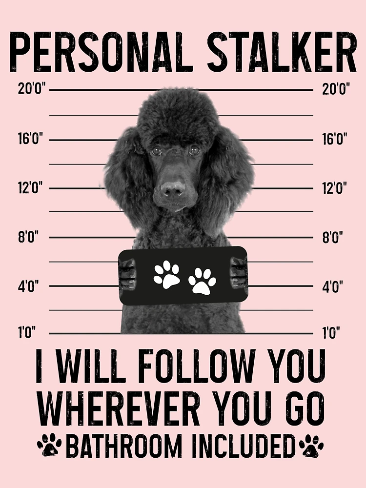 Personal Stalker Dog, Shih Tzu, Funny Shih Tzu Puppies memes, Shih Tzu  Owner Gifts, Poodle Puppy, Personal Stalker I will Follow You Wherever You  Go Bathroom Included Greeting Card for Sale by