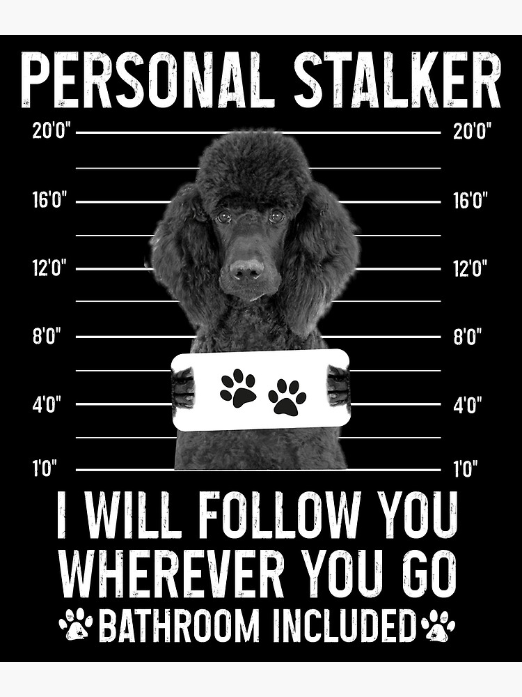 Personal Stalker Dog, Poodle, Funny Poodles Puppies Sayings, Poodle Owner  Gifts, Poodle Puppy, Personal Stalker I will Follow You Wherever You Go  Bathroom Included Poster for Sale by PRINTED .