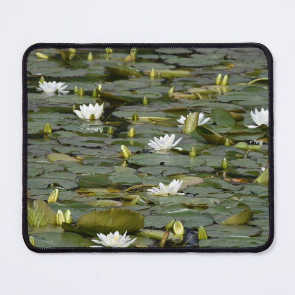 Item preview, lotus designed and sold by Boscastle.