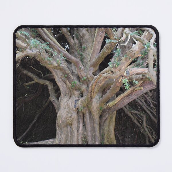 Item preview, Tree trunk designed and sold by Boscastle.