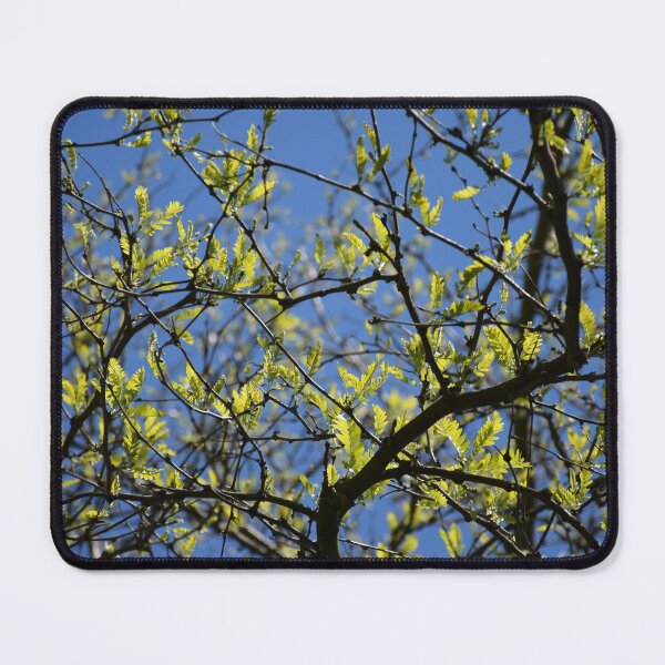 Item preview, First leaves in spring designed and sold by Boscastle.