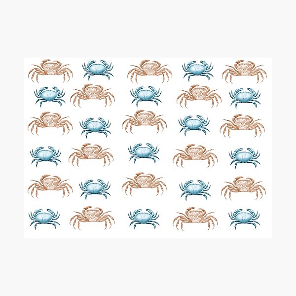 Red White and Blue Vintage Crabs Pattern Photographic Print