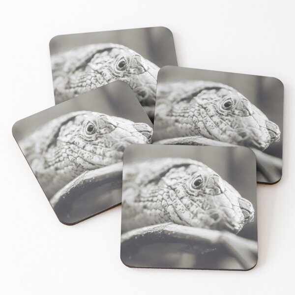 Item preview, Southeastern Girdled Lizard designed and sold by Dominika Aniola.