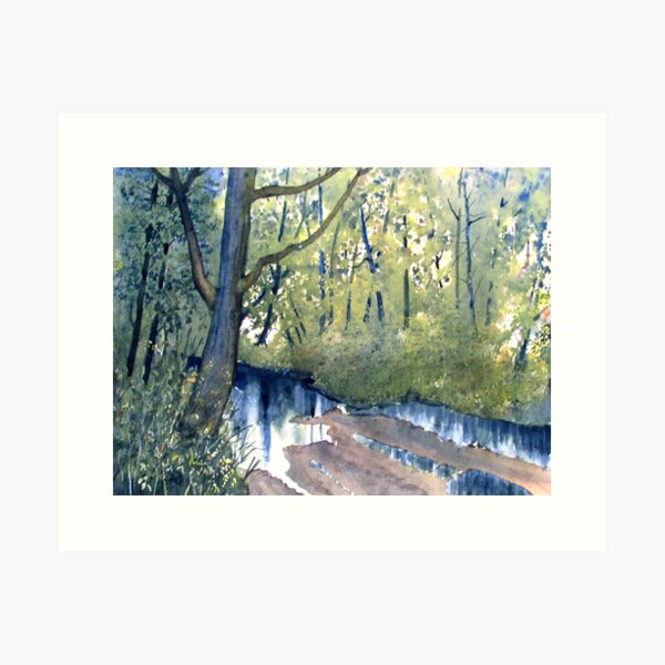 Waterlogged Forest Trail Art Print