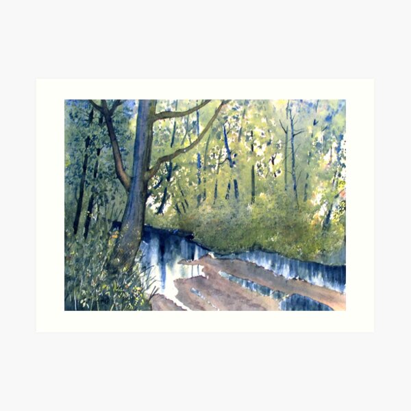 Waterlogged Forest Trail Art Print