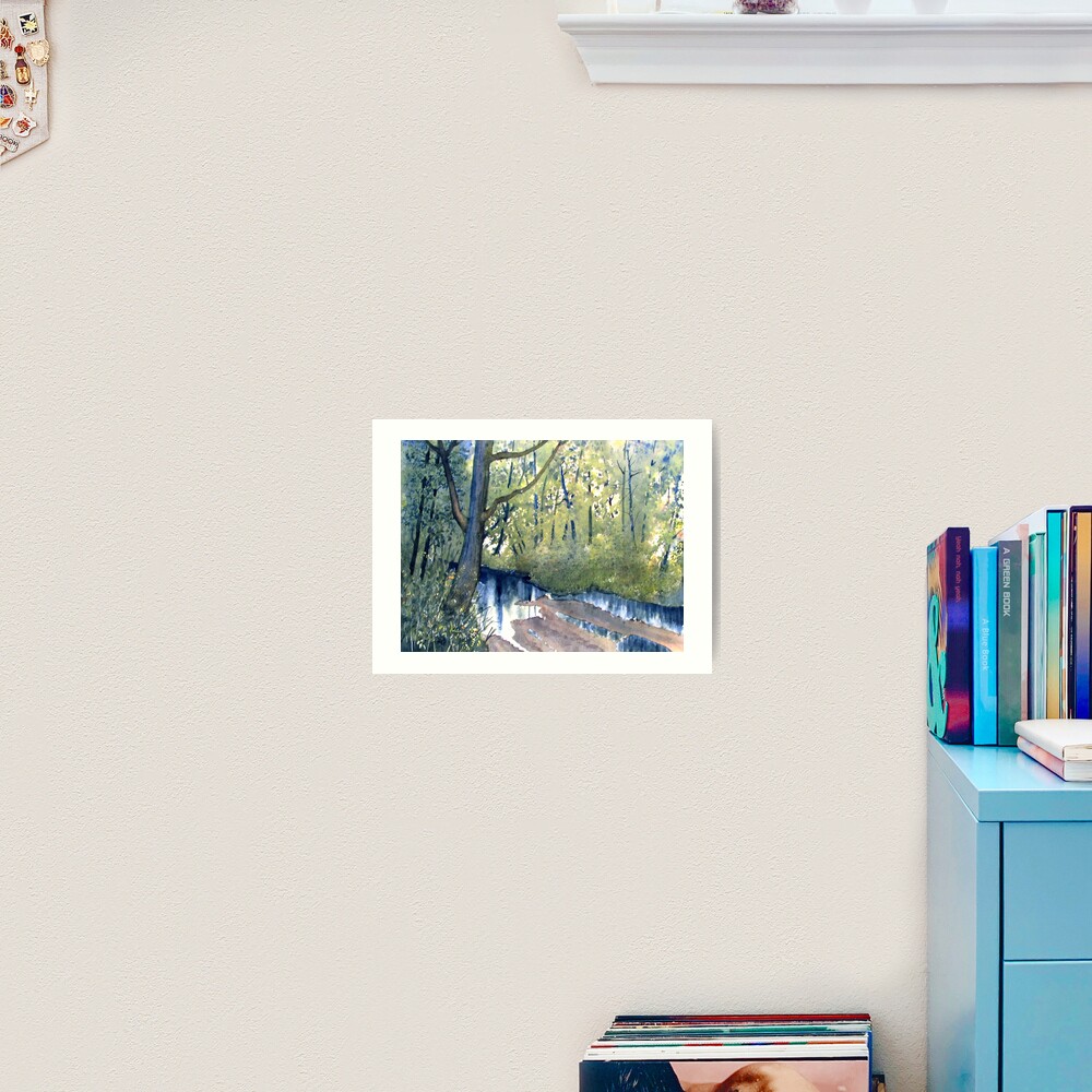 Waterlogged Forest Trail Art Print