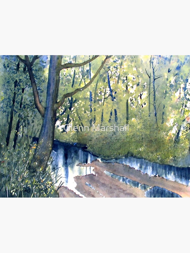 Waterlogged Forest Trail by treeman