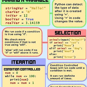 "Python Beginner Concepts" Poster for Sale by elliobot | Redbubble