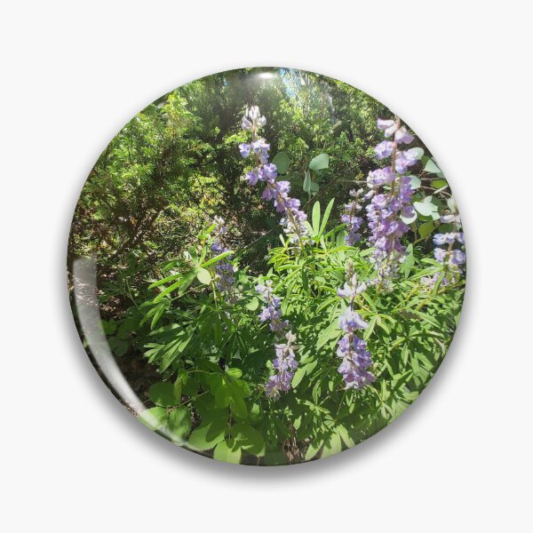 Artikel-Vorschau von Colorado-Blumen, designt und verkauft von HeatherBerget.