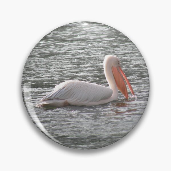 Item preview, Pretty Pelican in the Sunshine Photograph designed and sold by naturegallery.