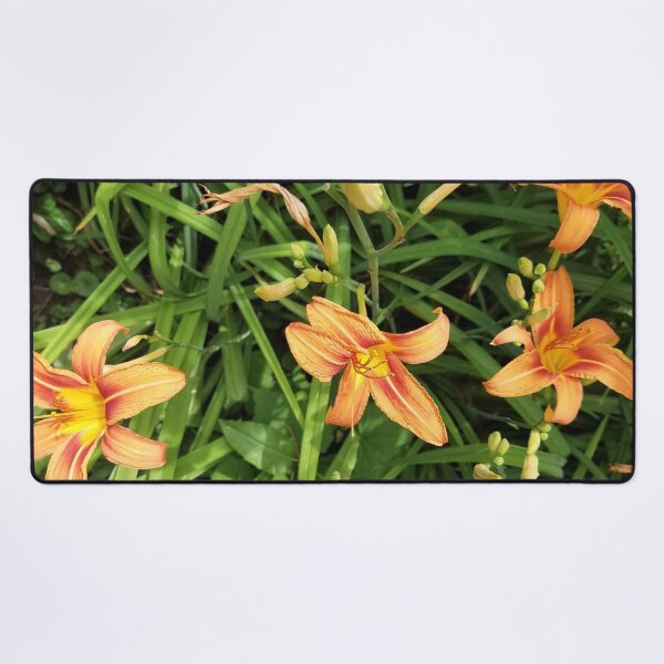 Item preview, Daylily Garden designed and sold by MooseDogPhotos.