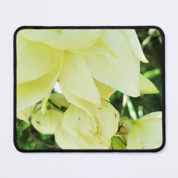 Item preview, Yucca Flowers designed and sold by MooseDogPhotos.
