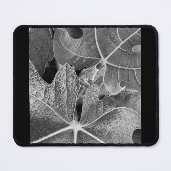 Item preview, Fig leaves black and white designed and sold by ArtByScience.