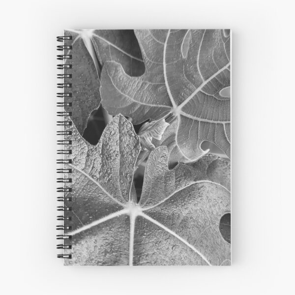 Item preview, Fig leaves black and white designed and sold by ArtByScience.