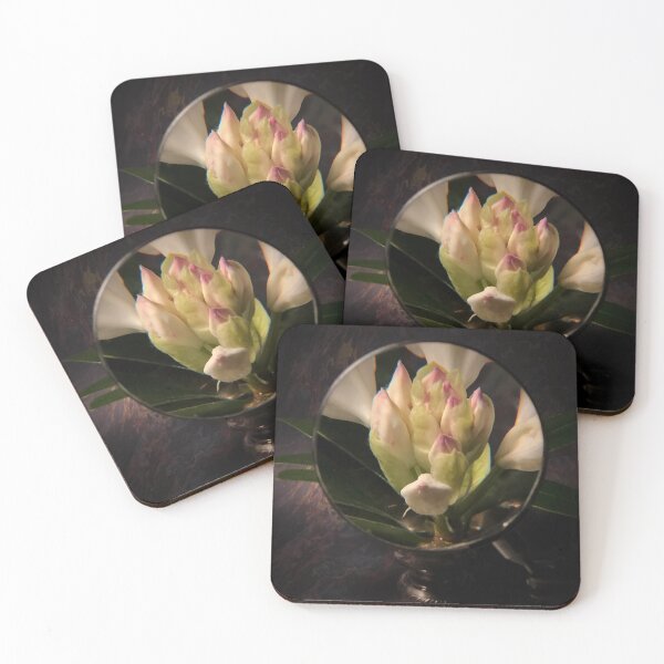 Item preview, Magnified Rhododendron Buds designed and sold by ArtBotanical.
