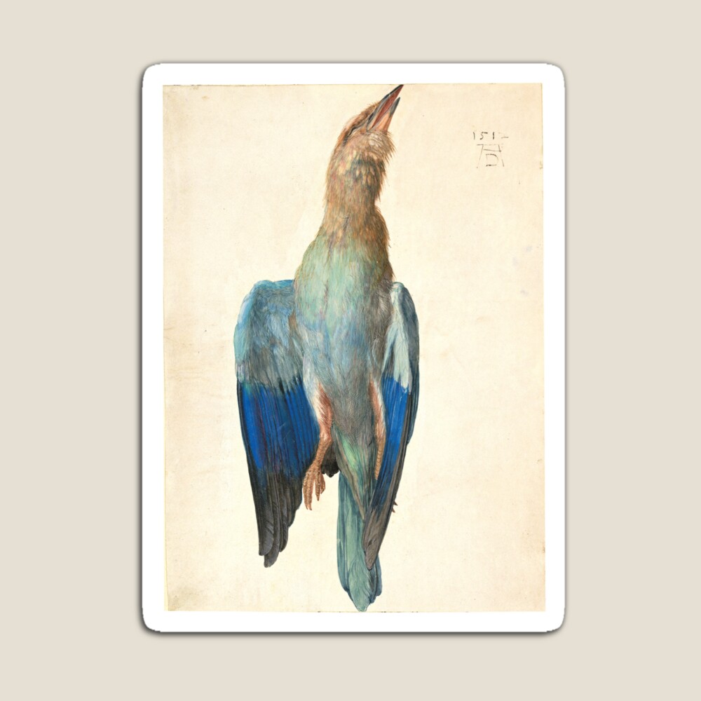 Albrecht Durer Dead Blue Roller Art Print for Sale by vintage wall art  Redbubble