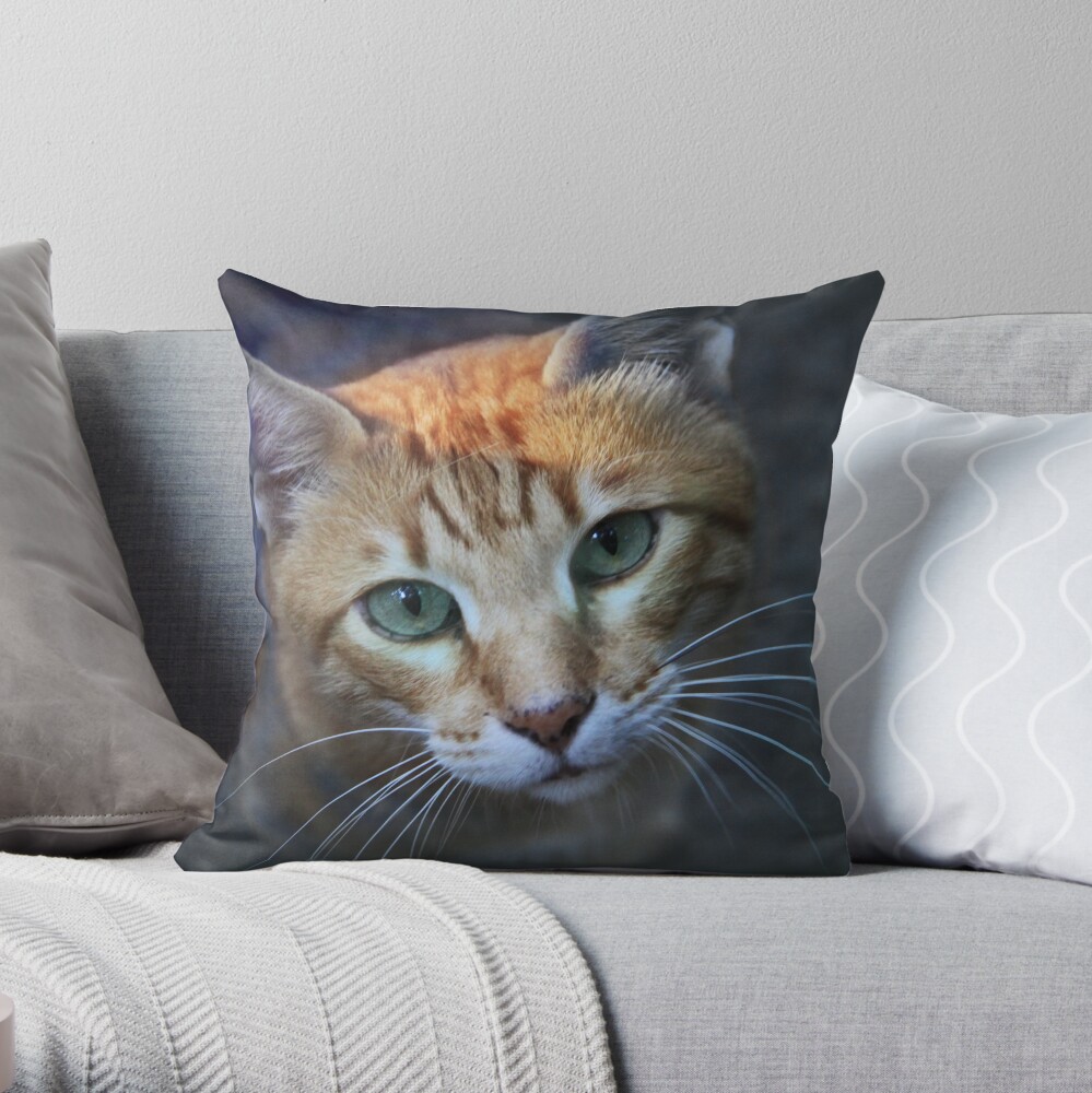 glowing eyes tabby cat pillow