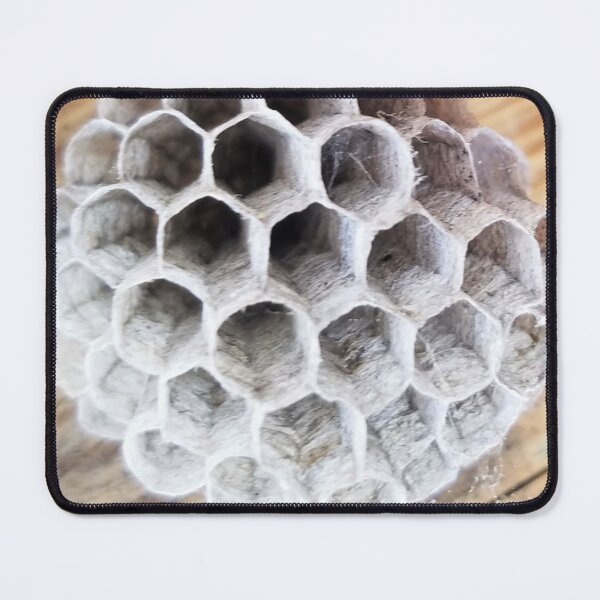Item preview, Paper Wasp Nest designed and sold by MooseDogPhotos.