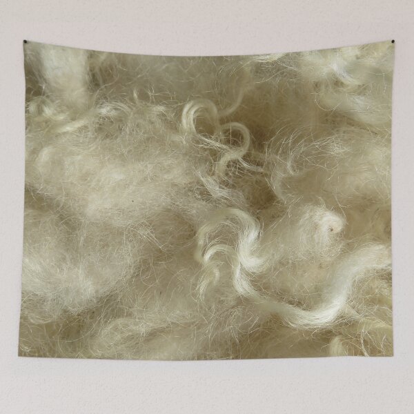 Item preview, Minnesota natural color Icelandic lamb wool fleece #1 designed and sold by ChillonLeachArt.