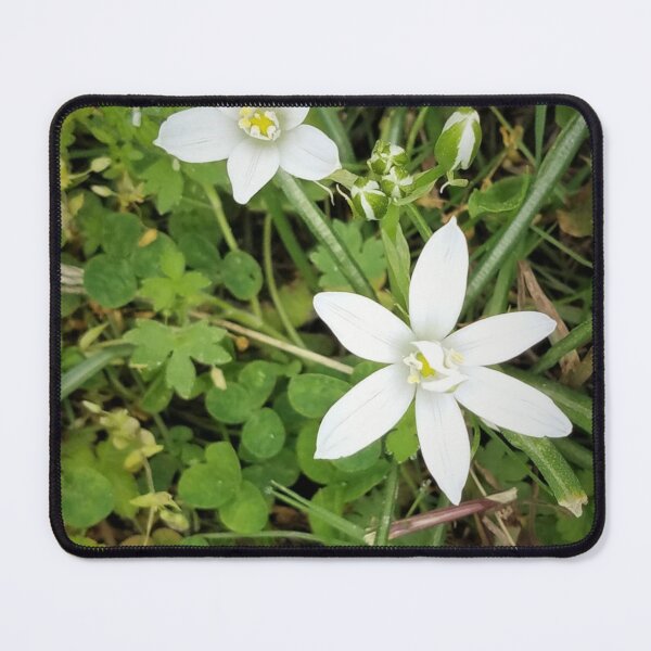 Item preview, Snowy Starry Flowers designed and sold by MooseDogPhotos.