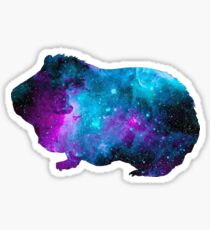 Galactic Guinea Pig Sticker