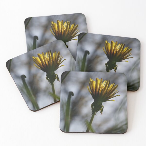 Item preview, Back-lit Dandelion Flower designed and sold by Nalinne Jones.