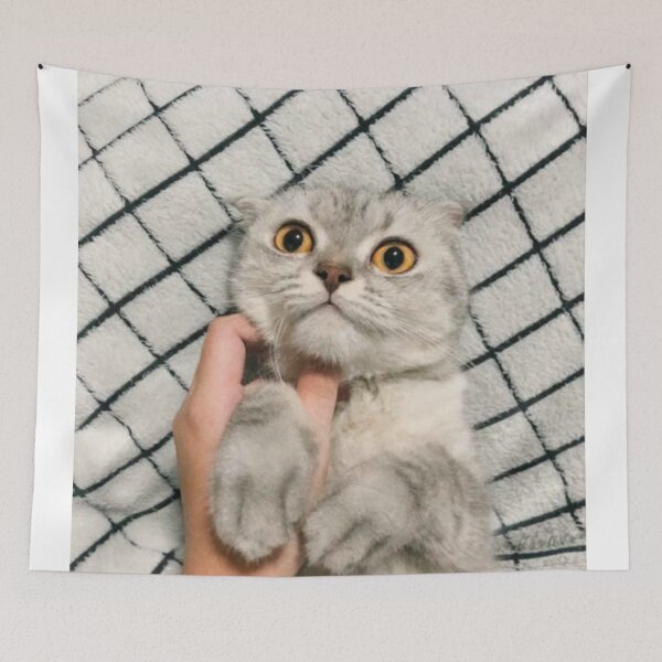 Item preview, Cat Picture designed and sold by storeInsight.