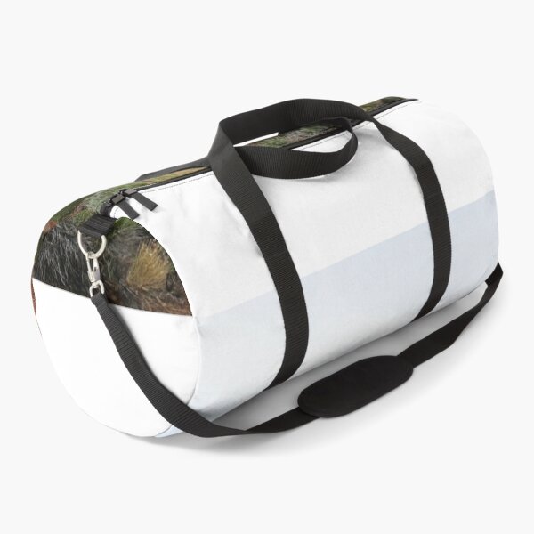 Item preview, Kodachrome Basin State Park, Utah designed and sold by FranWest.