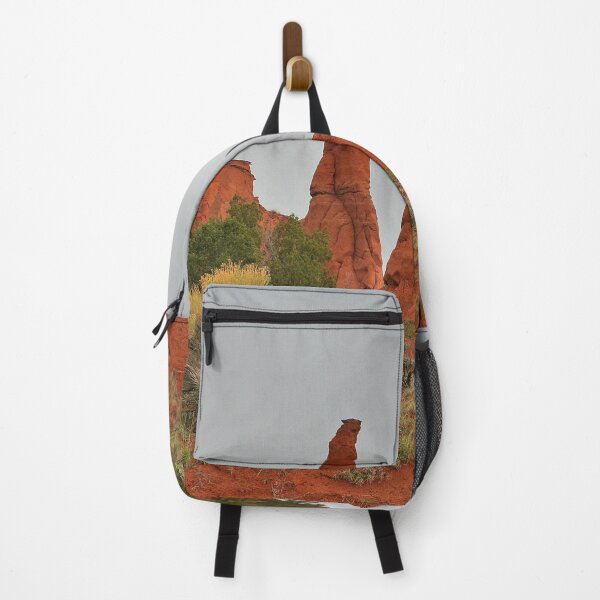 Item preview, Kodachrome Basin State Park, Utah 2 designed and sold by FranWest.